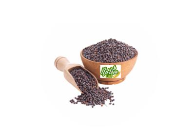 Mustard Seeds
